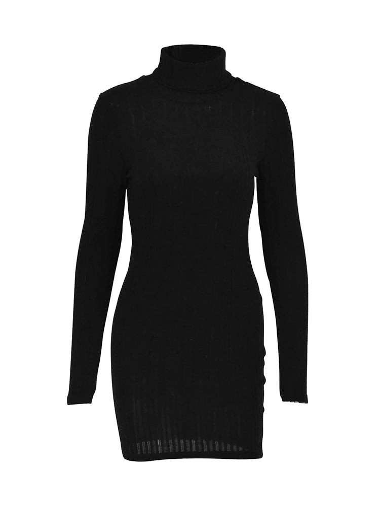 Elegant Turtleneck Bodycon Mini Dress