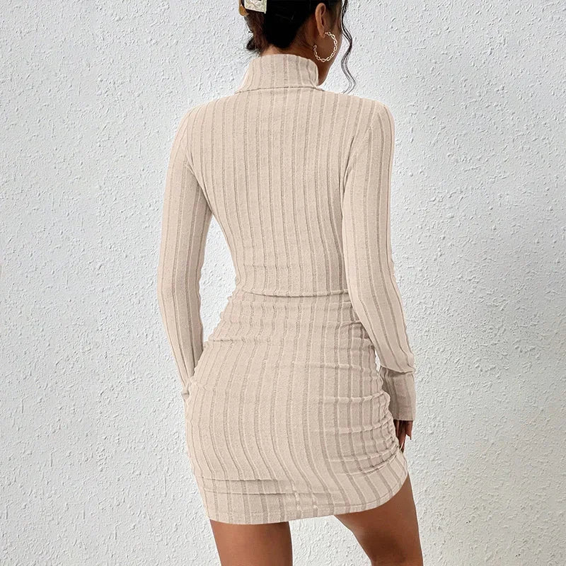 Elegant Turtleneck Bodycon Mini Dress