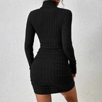 Elegant Turtleneck Bodycon Mini Dress