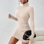 Elegant Turtleneck Bodycon Mini Dress