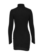Elegant Turtleneck Bodycon Mini Dress