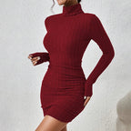 Elegant Turtleneck Bodycon Mini Dress