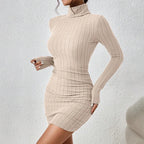 Elegant Turtleneck Bodycon Mini Dress
