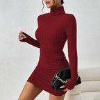 Elegant Turtleneck Bodycon Mini Dress