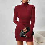 Elegant Turtleneck Bodycon Mini Dress
