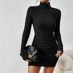 Elegant Turtleneck Bodycon Mini Dress